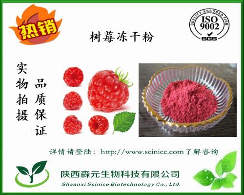 覆盆子凍干粉 99% 高純度冷凍干燥樹莓粉 工廠直銷1kg包郵價(jià)格與報(bào)價(jià)