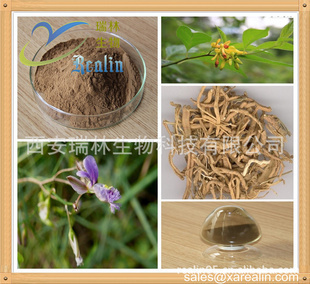 植物提取物 天然遠(yuǎn)志提取物（20:1比例提取）的安神益智與祛痰消腫功效