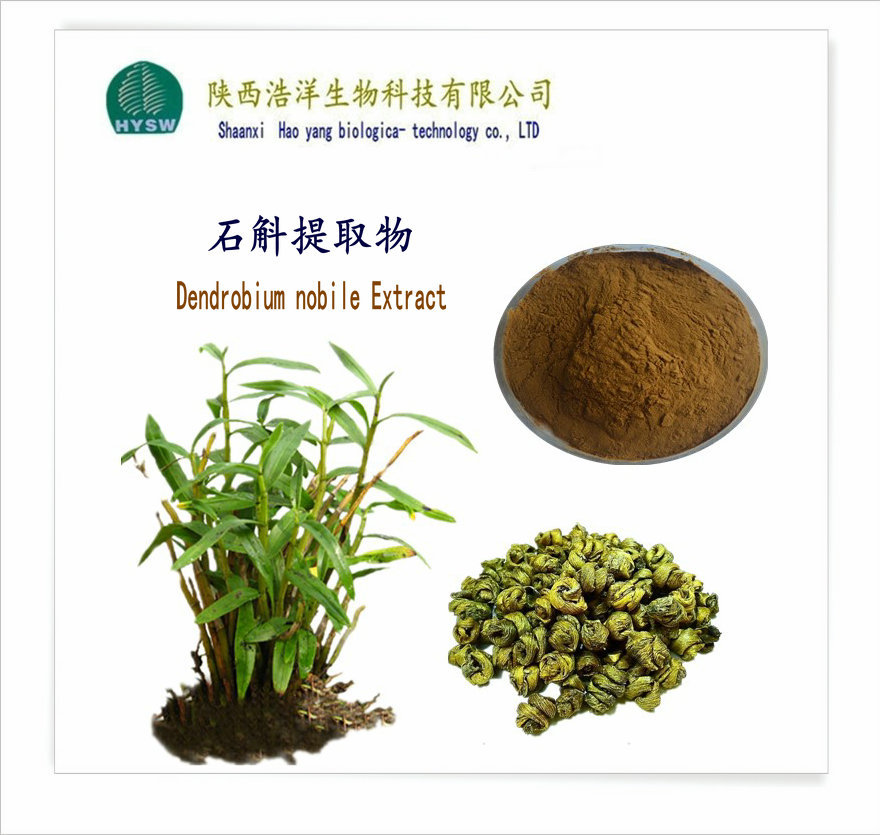 萃取石斛粉 現(xiàn)代工藝與傳統(tǒng)草本的智慧融合